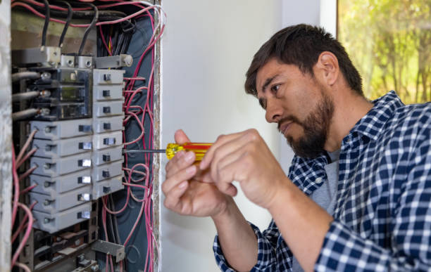 Best Licensed Electrician  in Apison, TN